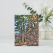 Waldweg Postkarte (Stehend Vorderseite)