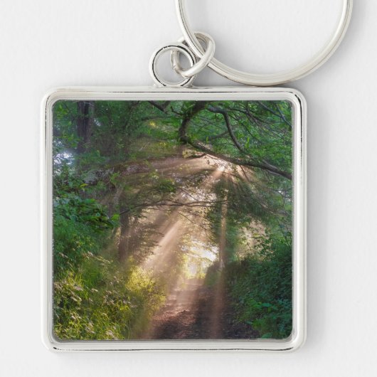 Waldweg Schlüsselanhänger (Vorne)