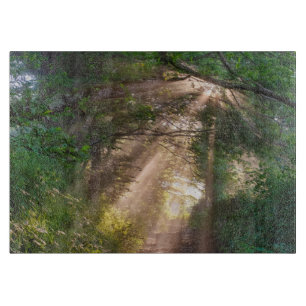 Waldweg Schneidebrett