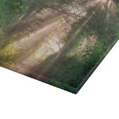 Waldweg Schneidebrett (Ecke)