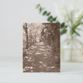 Waldweg - Sepia Postkarte (Stehend Vorderseite)
