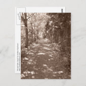 Waldweg - Sepia Postkarte (Vorne/Hinten)