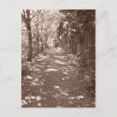 Waldweg - Sepia Postkarte (Vorderseite)