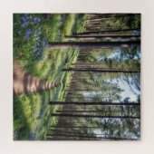 Waldweg Serene im Springtime Puzzle (Horizontal)