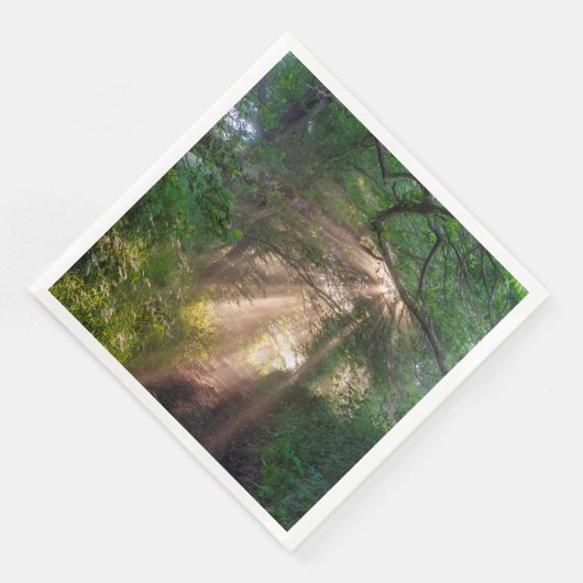 Waldweg Serviette (Ecke)