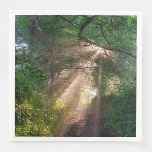 Waldweg Serviette (Vorderseite)