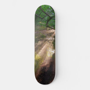 Waldweg Skateboard