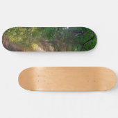 Waldweg Skateboard (Horizontal)