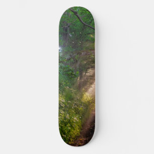 Waldweg Skateboard