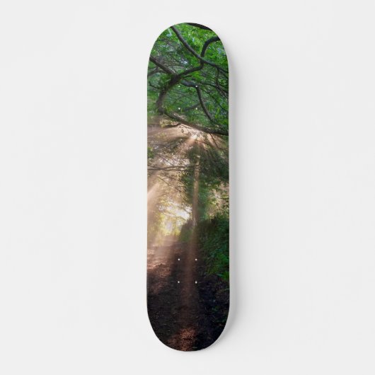 Waldweg Skateboard (Vorne)