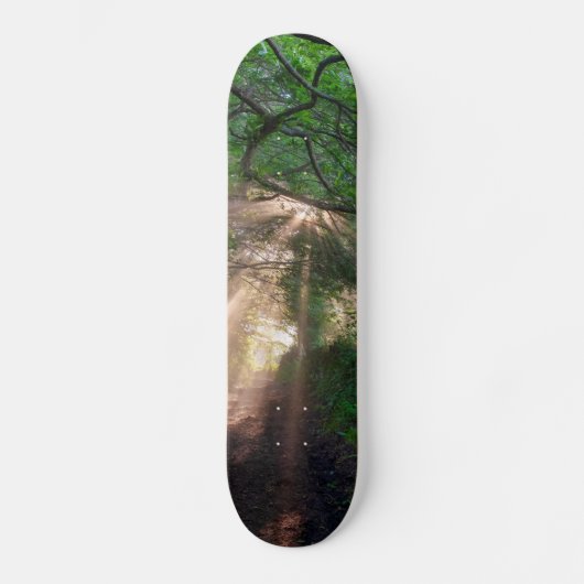 Waldweg Skateboard (Vorderseite)