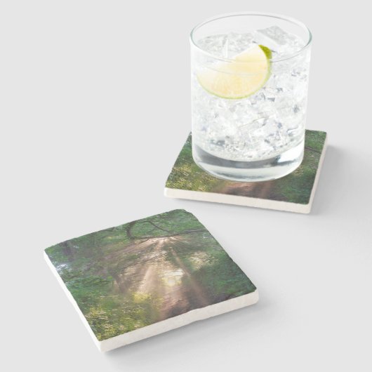 Waldweg Steinuntersetzer (Seitenansicht)