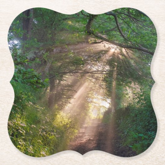 Waldweg Untersetzer (Vorderseite)