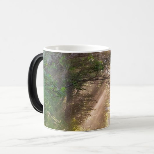 Waldweg Verwandlungstasse (Vorderseite Links)