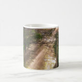 Waldweg Verwandlungstasse (Mittel)