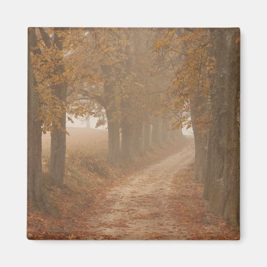 Waldweg vom Foto der Herbstbäume Magnet (Vorne)