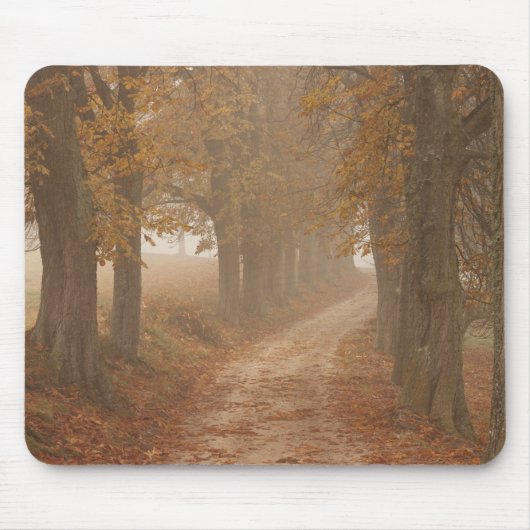 Waldweg vom Foto der Herbstbäume Mousepad (Vorne)
