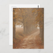 Waldweg von Herbstbäumen gesäumt Postkarte (Vorne/Hinten)