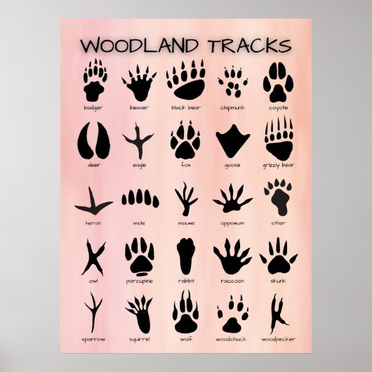 Waldwege Poster (Vorne)