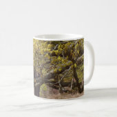 Waldweiße Tasse (VorderseiteRechts)