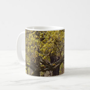Waldweiße Tasse