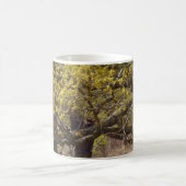 Waldweiße Tasse (Mittel)