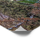 Waldwild John Muir Nature Zitat Poster (Ecke)