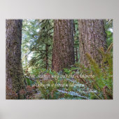 Waldwild John Muir Nature Zitat Poster (Vorne)