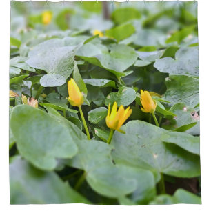 Waldwildblumen – Botanische Naturfotografie Duschvorhang