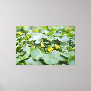Waldwildblumen – Botanische Naturfotografie Leinwanddruck