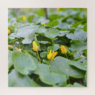 Waldwildblumen – Botanische Naturfotografie Puzzle
