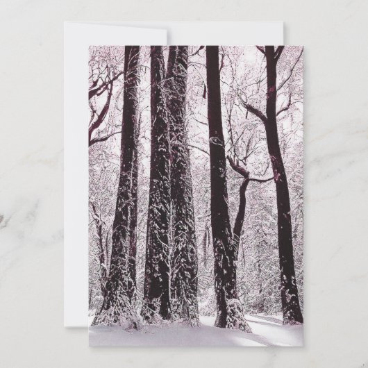 WALDWOODS SNOWWY WINTER SCENERY EINLADUNG (Vorderseite)