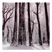 WALDWOODS SNOWWY WINTER SCENERY POSTER (Vorderseite)