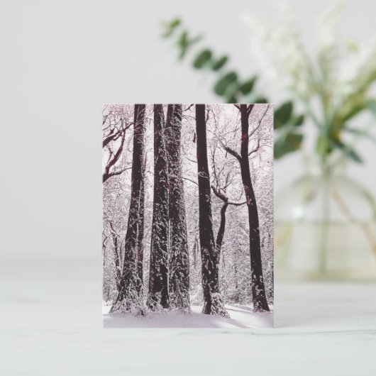 WALDWOODS SNOWWY WINTER SCENERY POSTKARTE (Stehend Vorderseite)