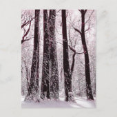 WALDWOODS SNOWWY WINTER SCENERY POSTKARTE (Vorderseite)