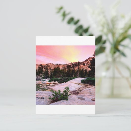 Waldzerstörung Wilderness Eldorado Postkarte (Stehend Vorderseite)