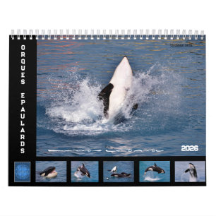 Wale 12 Monate Kalender