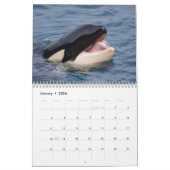 Wale 12 Monate Kalender (Jan 2026)