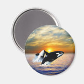 Wale bei Sonnenuntergang Magnet (Vorderseite/Rückseite)