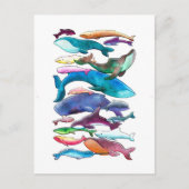 Wale, Delphine und Schweinswale Postkarte (Vorderseite)