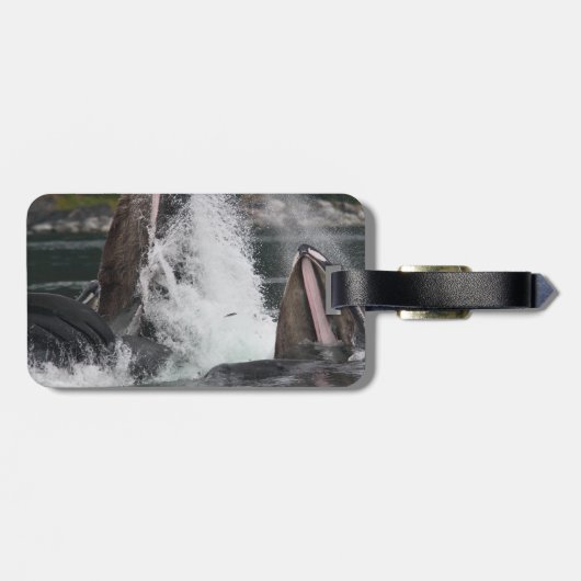 Wale Gepäckanhänger (Rückseite horizontal)