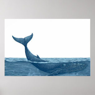 Wale im Ozean Klein Poster