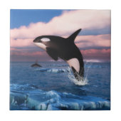 Wale in der Arktis Fliese (Vorderseite)