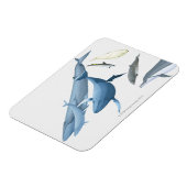 Wale Magnet (Linke Seite)