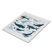 Wale & Meeresleben Fliese (Seite)