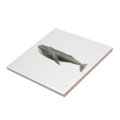 "WALE" MEERESWELT KERAMIK TITEL FLIESE (Seite)