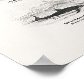 Wale - Naturalist's Library Poster (Ecke)