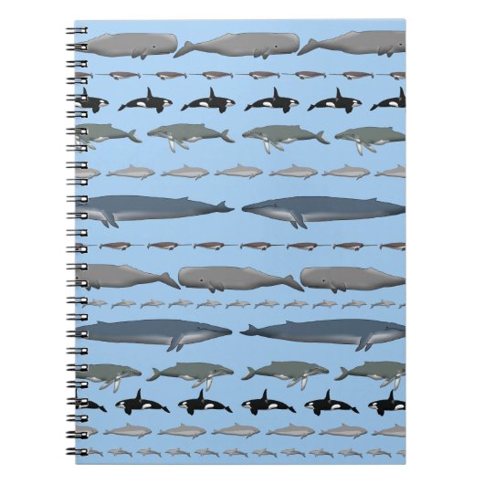 Wale Notizblock (Vorderseite)