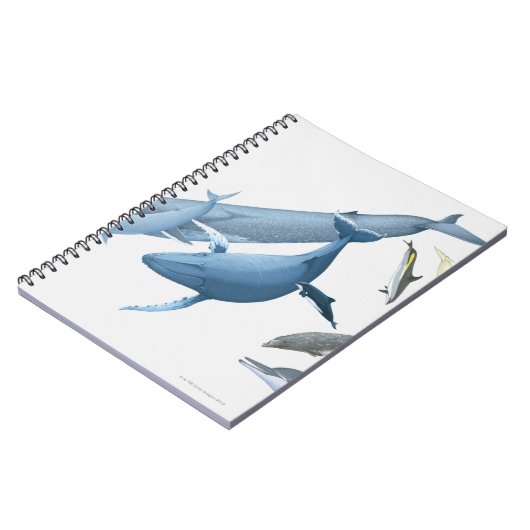 Wale Notizblock (Linke Seite)