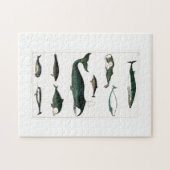 Wale Ocean Sea Water Orca Puzzle (Horizontal)